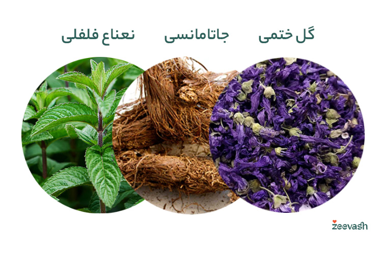 گل ختمی، جاتامانسی و نعناع فلفلی